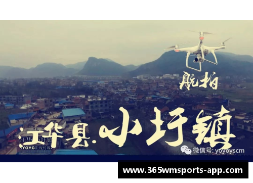 电影免费观看：过去多年的发展与展望